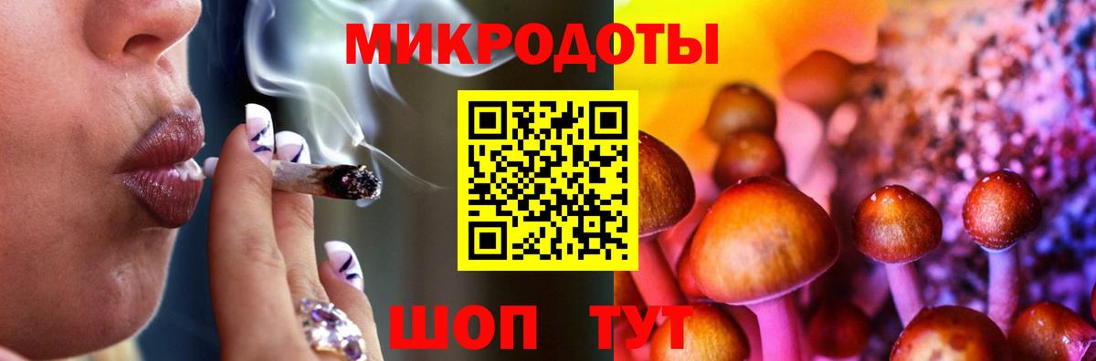 закладка  Галлюциногенные грибы MAGIC MUSHROOMS  Галлюциногенные грибы мухоморы  Вход с VPN  Мыски 